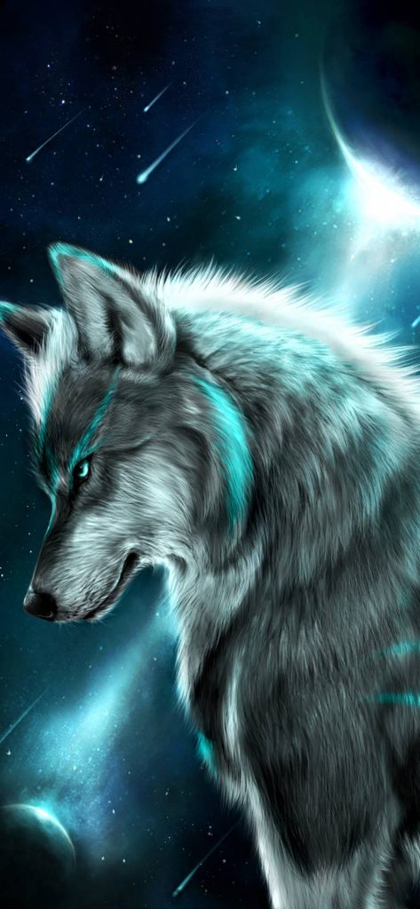 Fondo De Pantalla Lobo Para Android