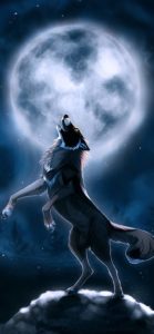 Fondos De Pantalla Wolf