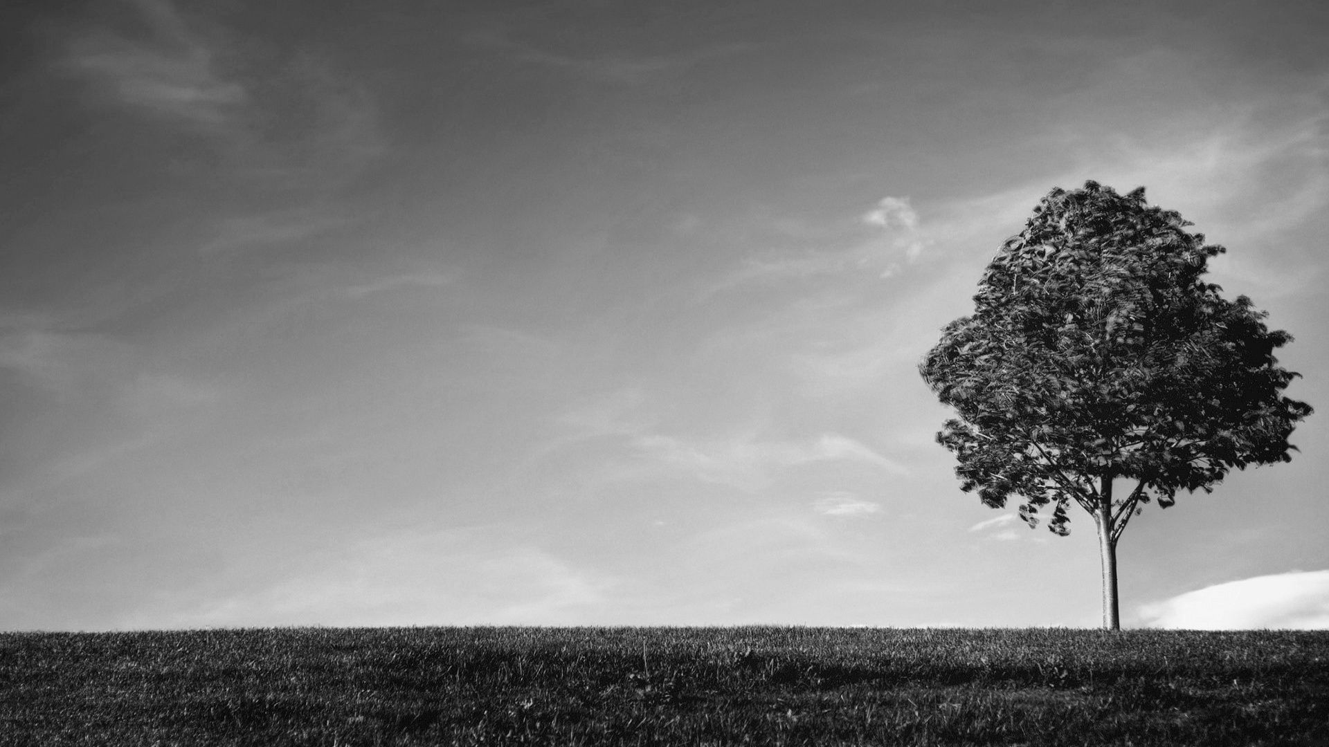 Fondos de Pantalla Blanco y negro Desktop Fondos de Pantalla Blanco y negro Desktop