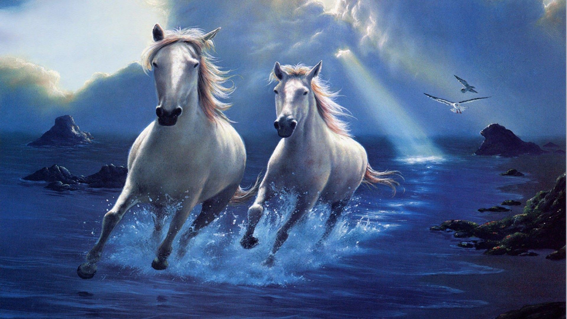 Fondos de Pantalla Caballos Desktop Fondos de Pantalla Caballos Desktop