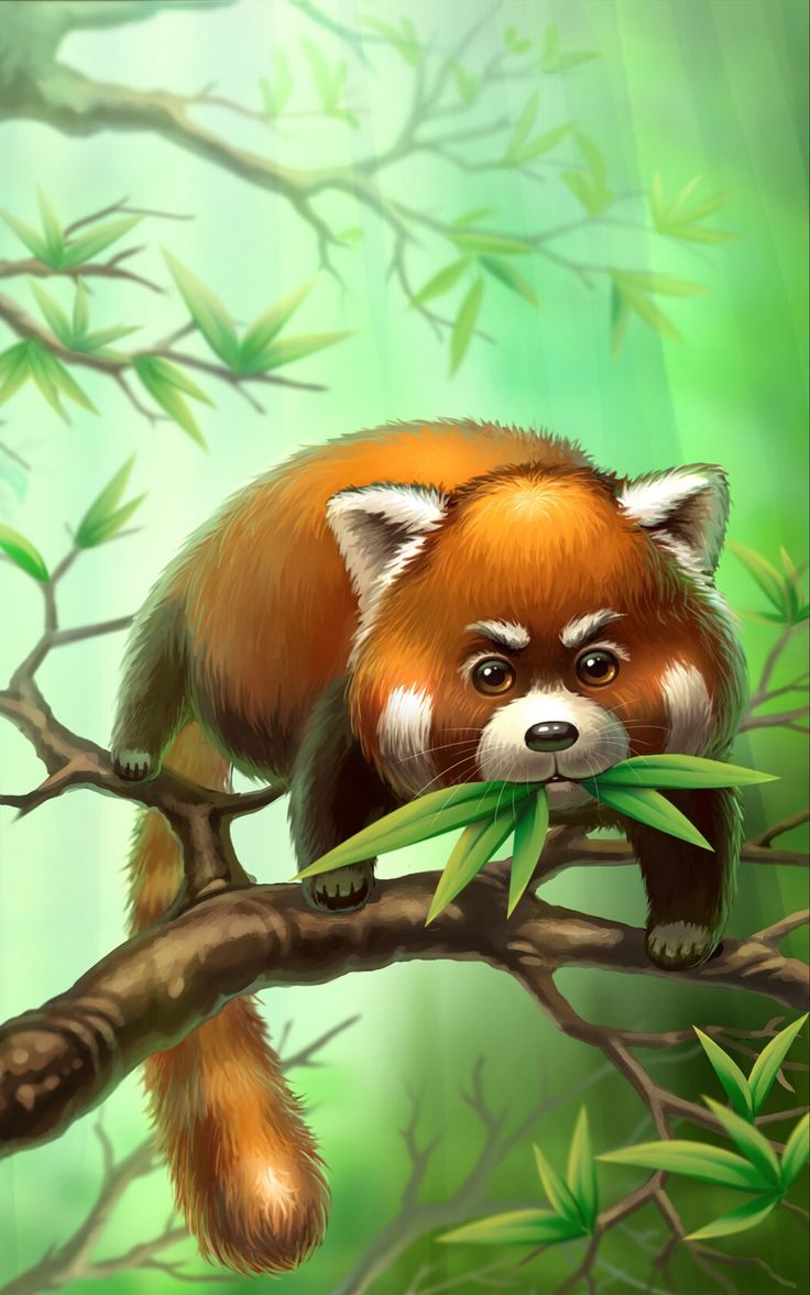 Fondos de Pantalla De Animales Fondos de Pantalla De Animales