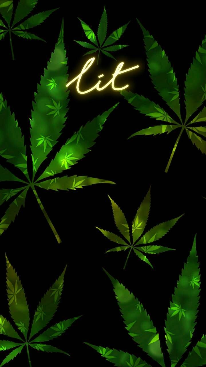 Fondos de Pantalla Marihuanas HD Fondos de Pantalla Marihuanas HD