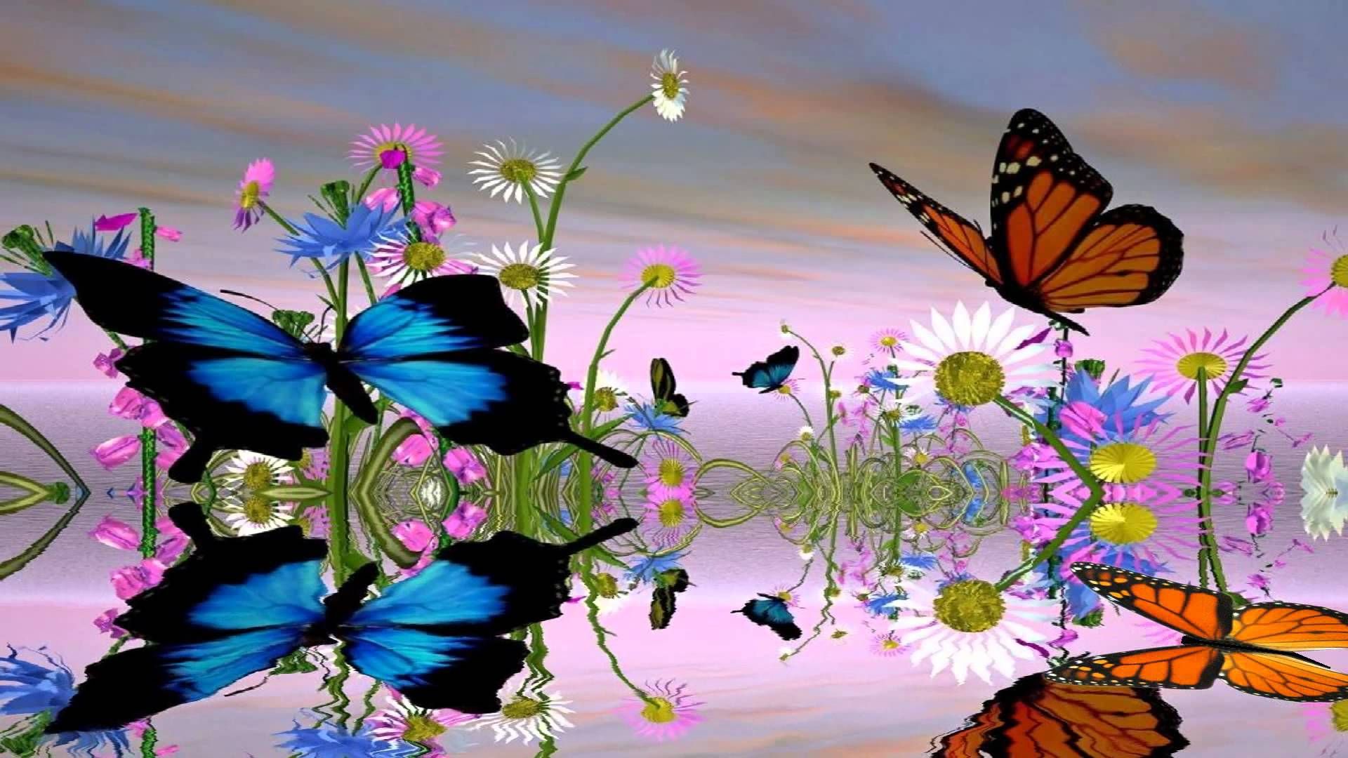 Fondos de Pantalla Mariposas Computadora Fondos de Pantalla Mariposas Computadora