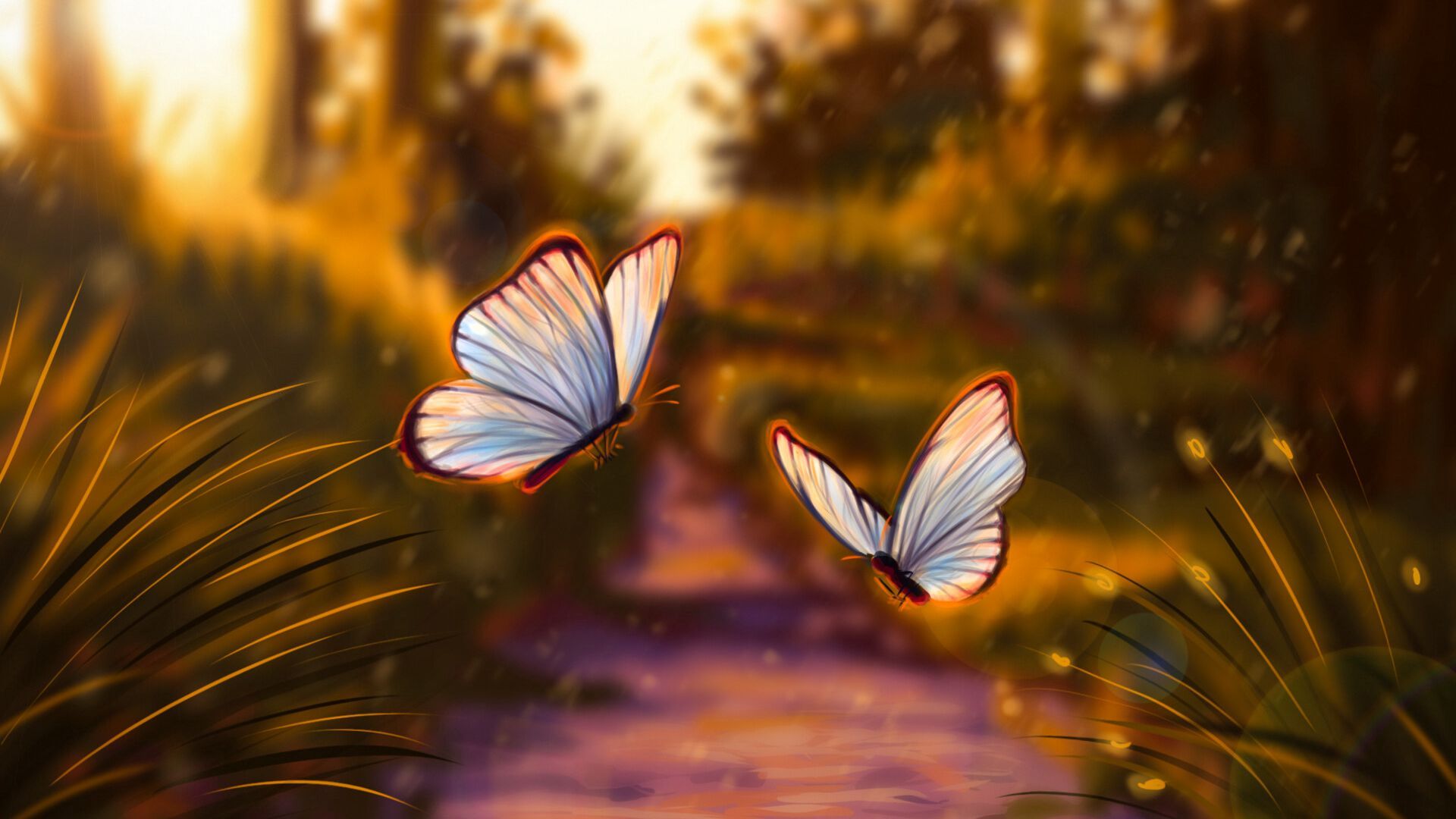 Fondos de Pantalla Mariposas Laptop Fondos de Pantalla Mariposas Laptop