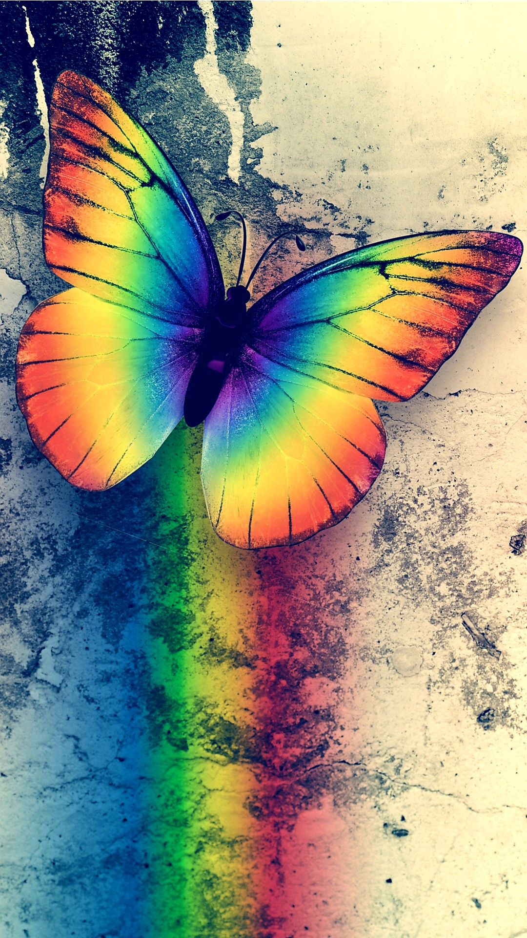 Fondos de Pantalla Mariposas iphone Fondos de Pantalla Mariposas iphone