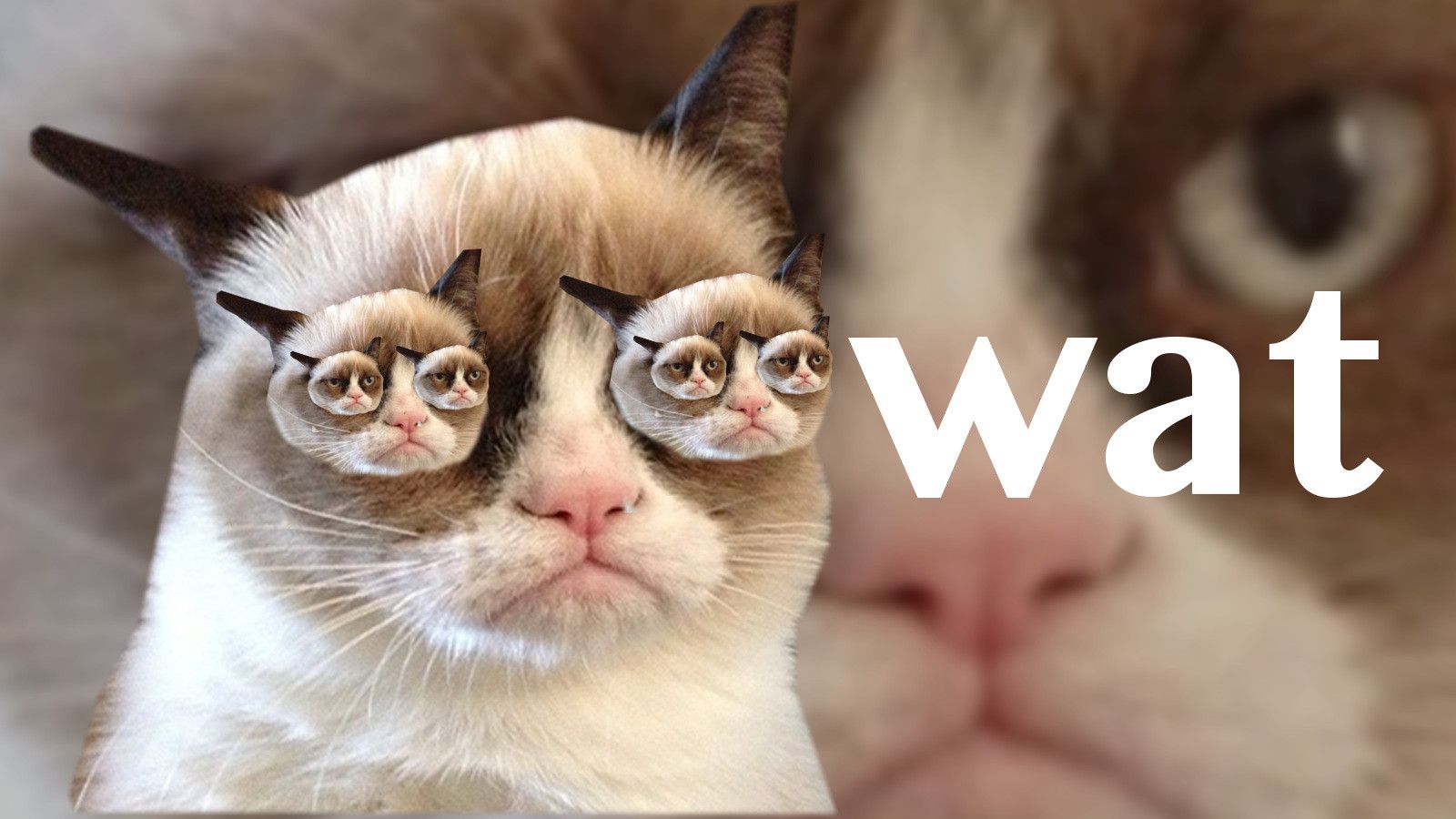 Fondos de Pantalla Memes Computadora Fondos de Pantalla Memes Computadora