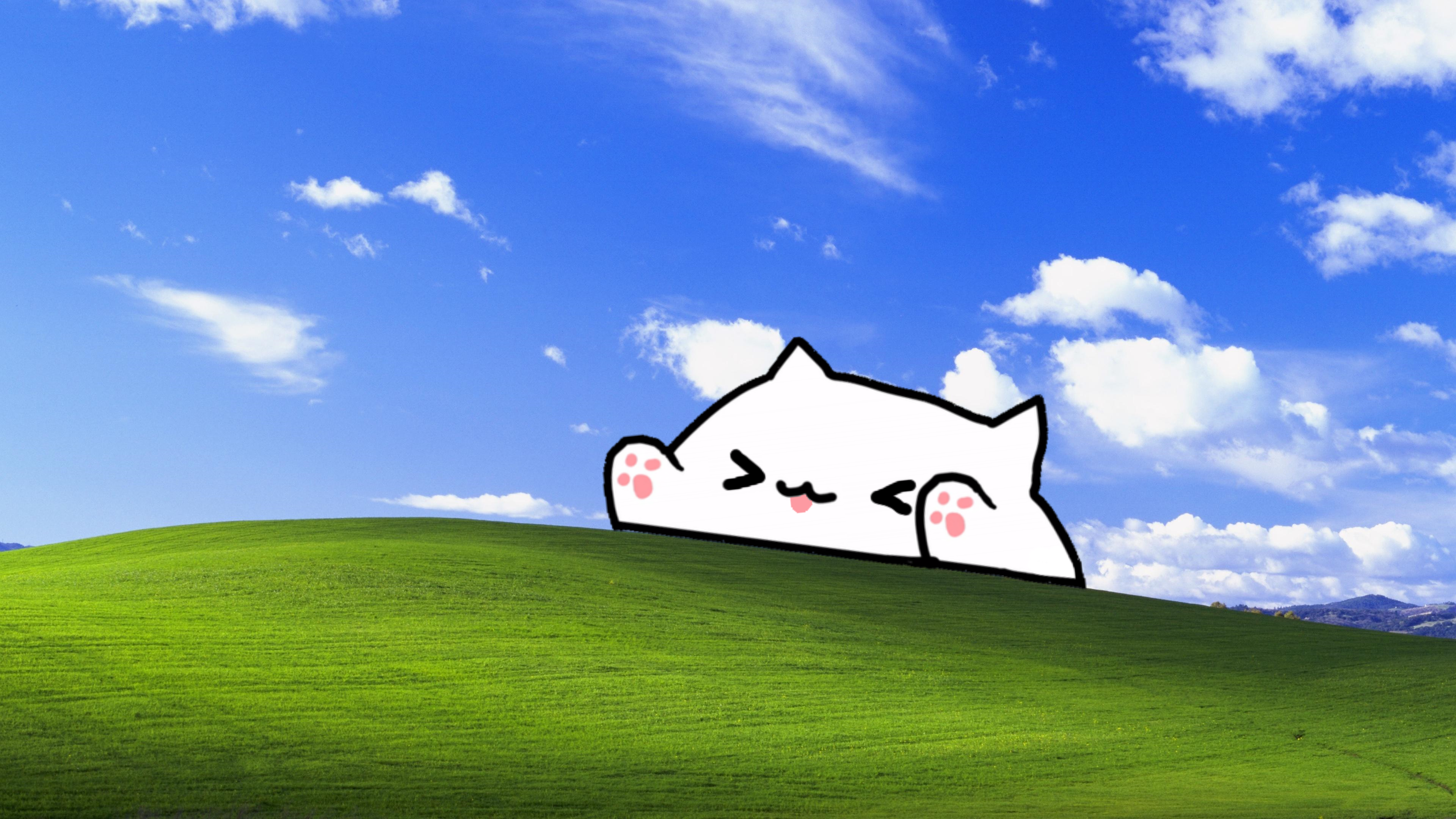 Fondos de Pantalla Memes PC Fondos de Pantalla Memes PC