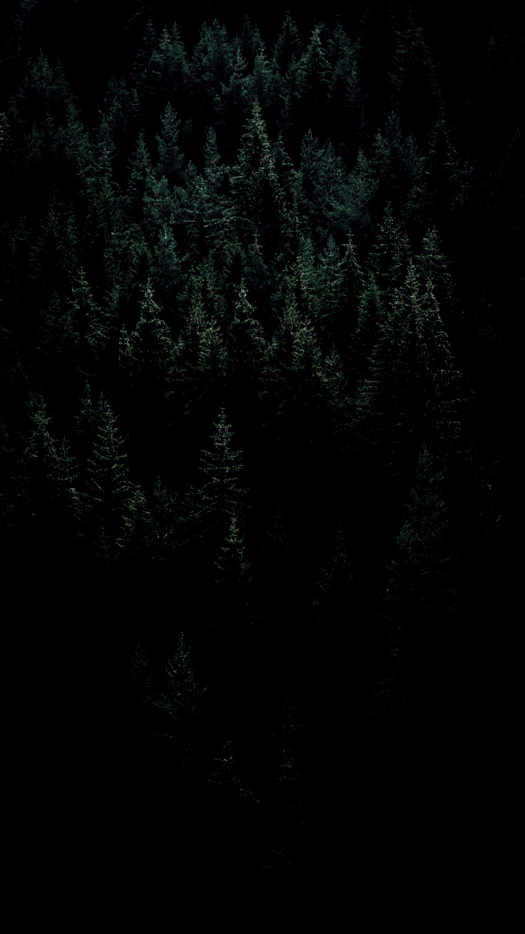 Black Wallpaper iPhone 13 Pro Max