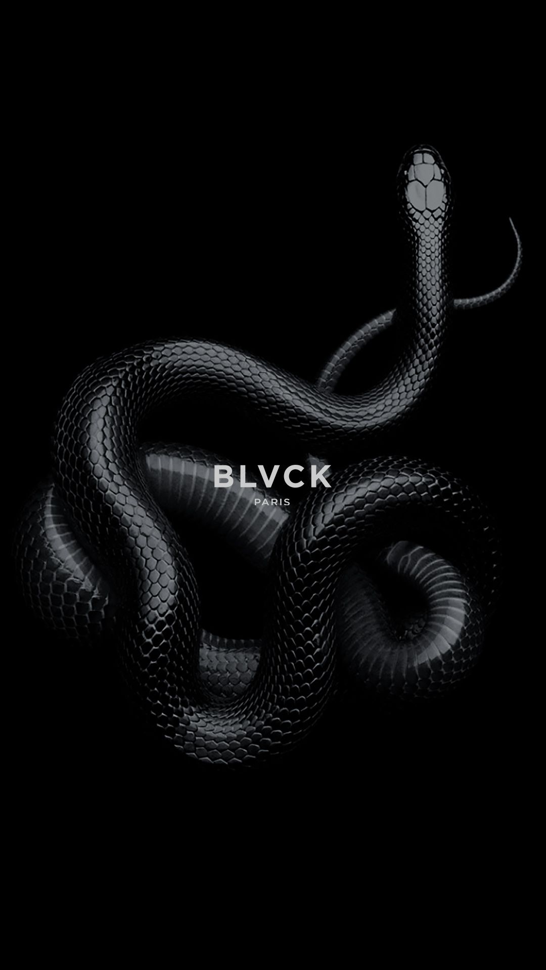 Snake iPhone X Wallpaper