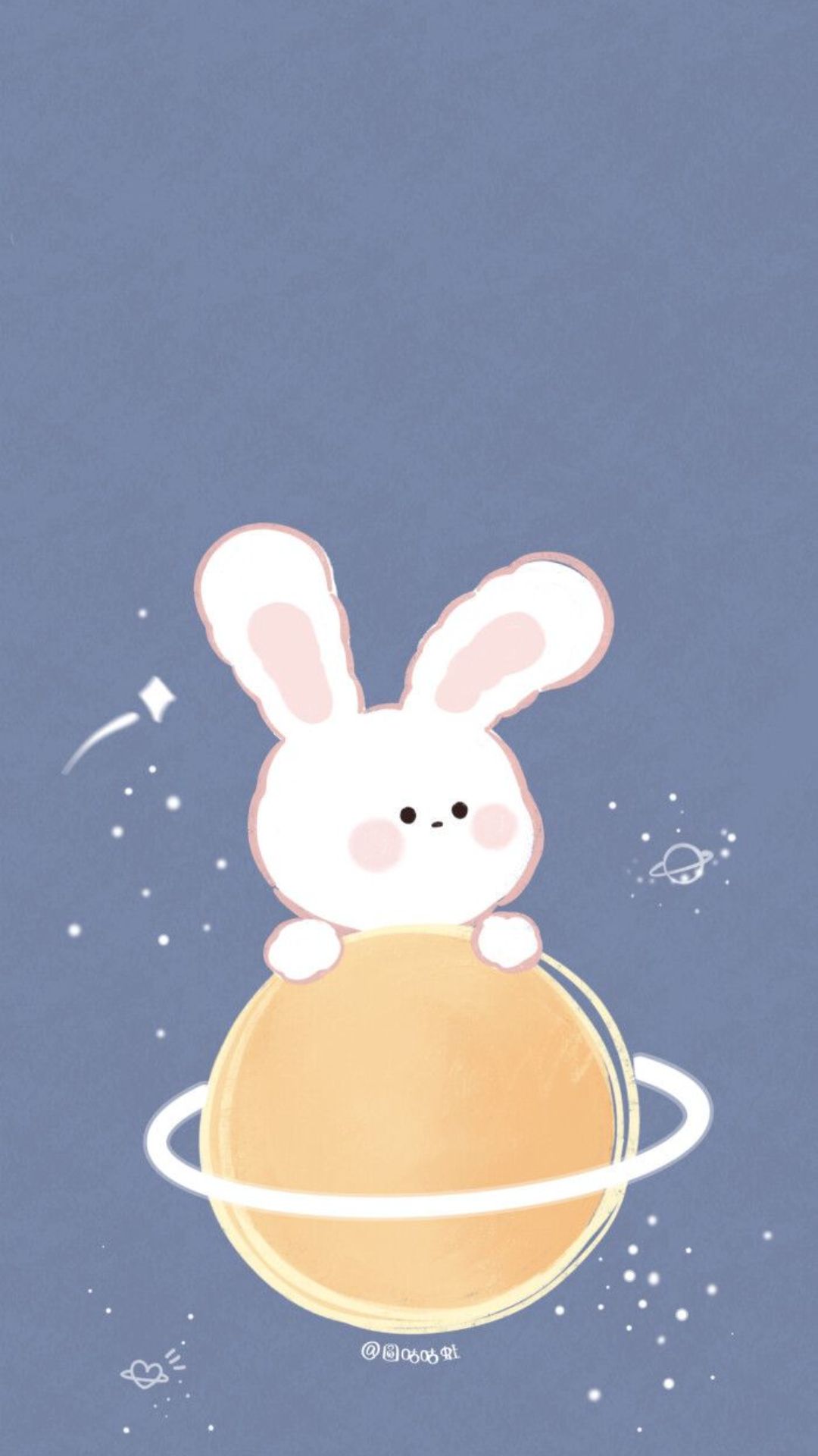 Rabbit HD iPhone Wallpaper