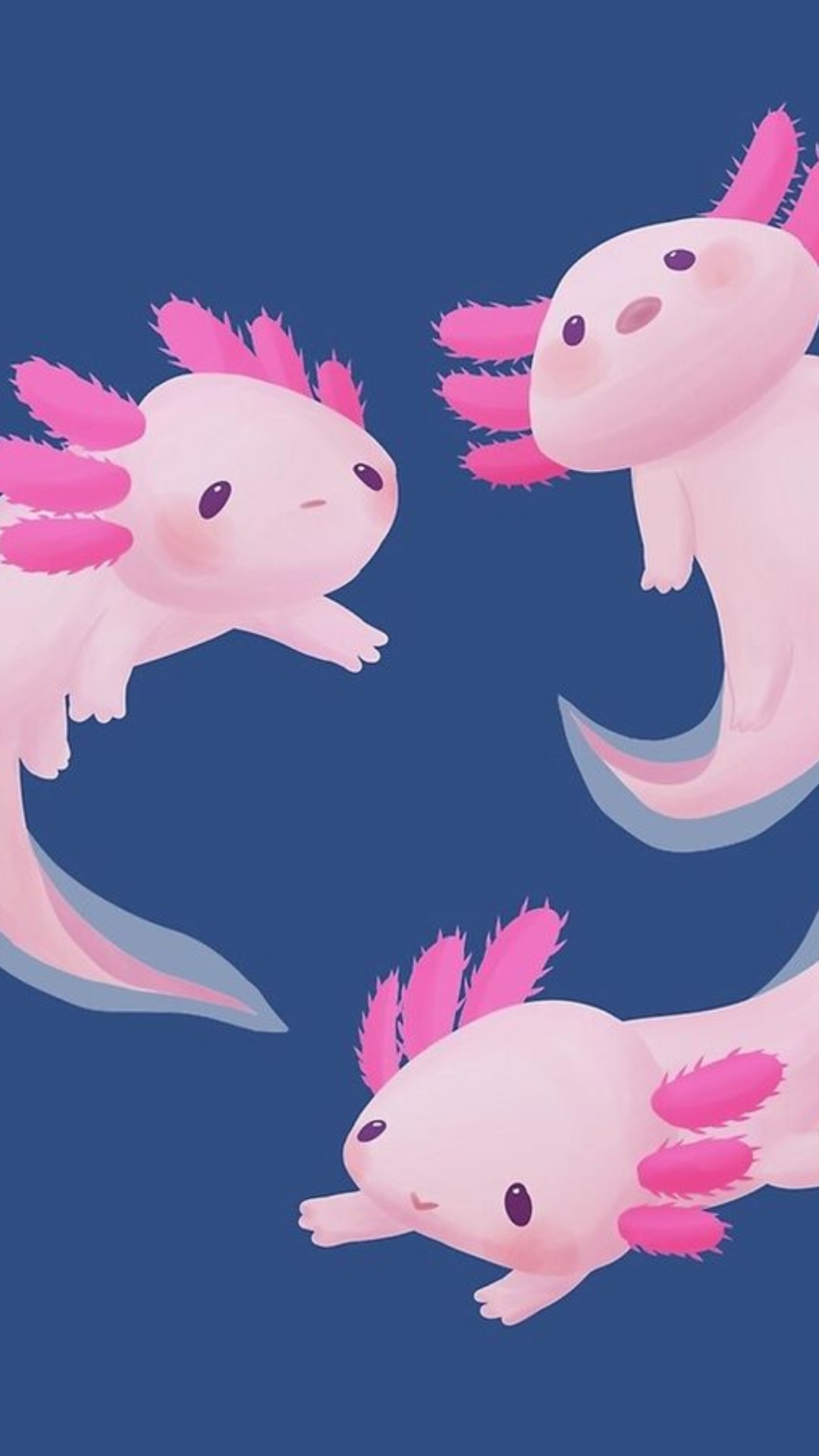 Axolotl Wallpaper iPhone 8