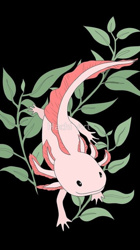 Axolotl iPhone Wallpaper