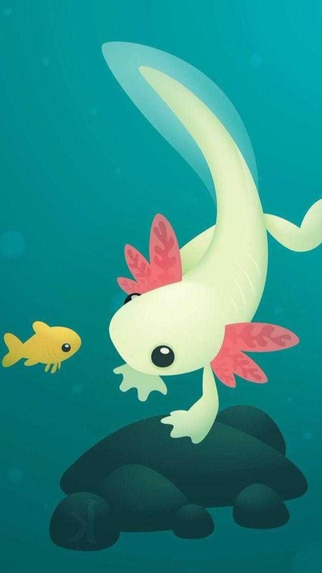 Axolotl iPhone Wallpaper HD