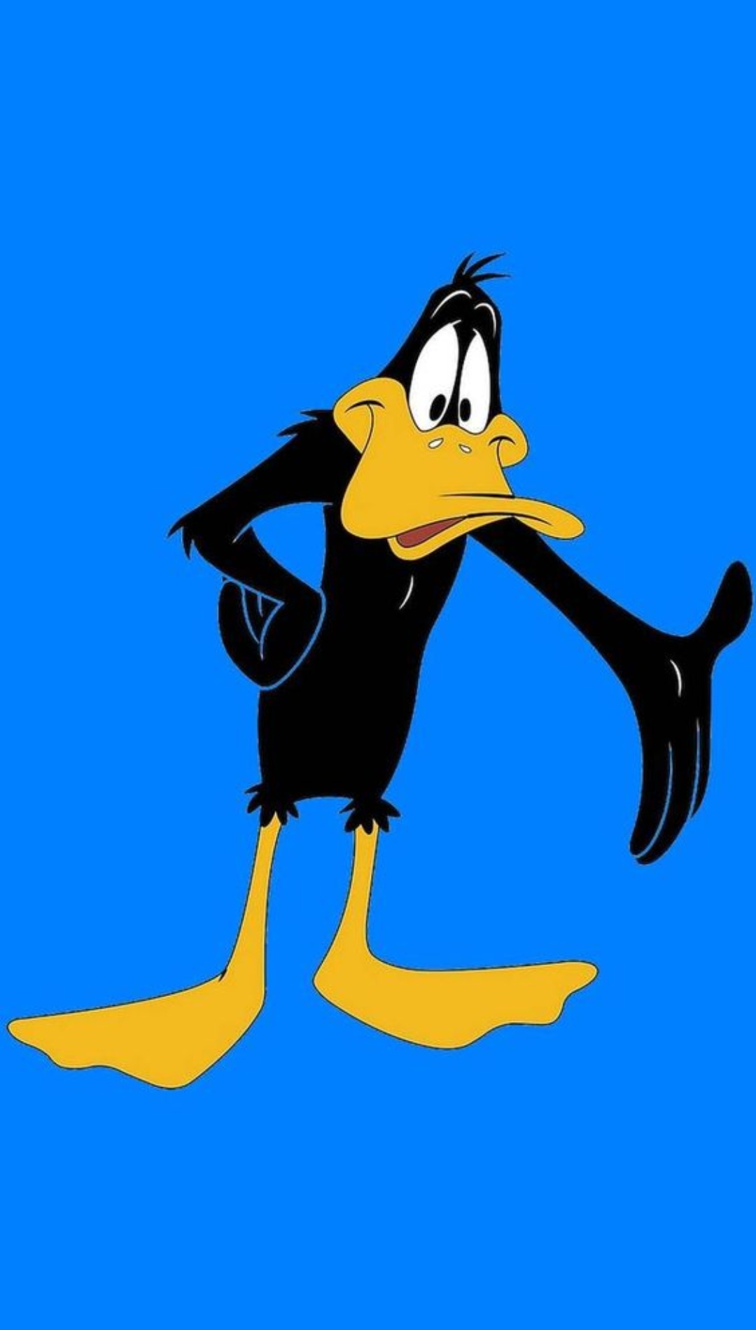 Daffy Duck iPhone Lock Screen Wallpaper