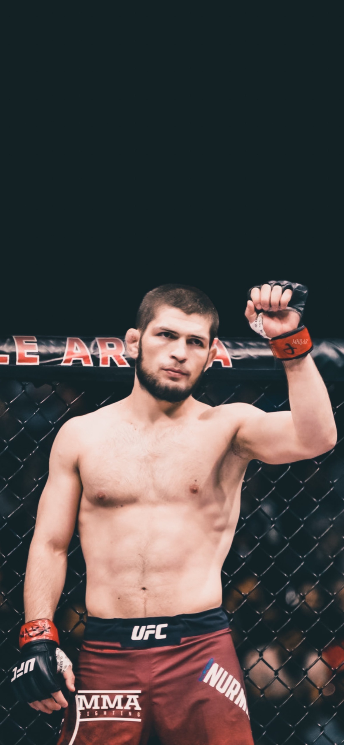 Khabib Wallpaper iPhone 12