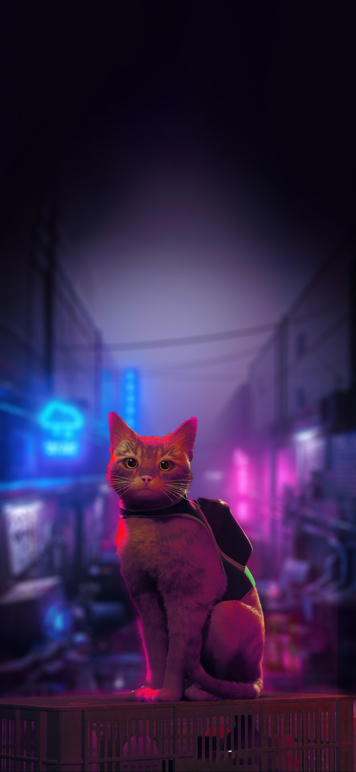 Stray Cat Game iphone Wallpaper