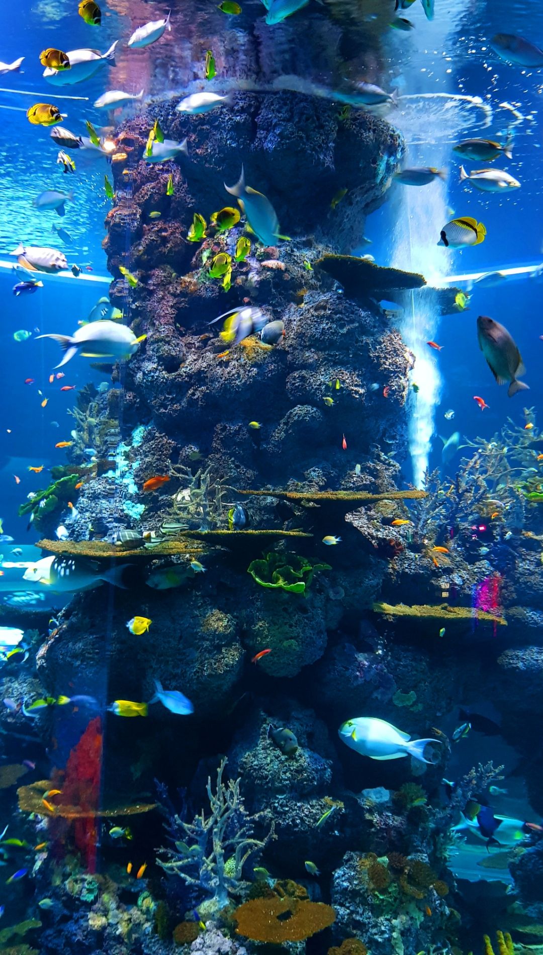 Underwater Wallpaper iPhone