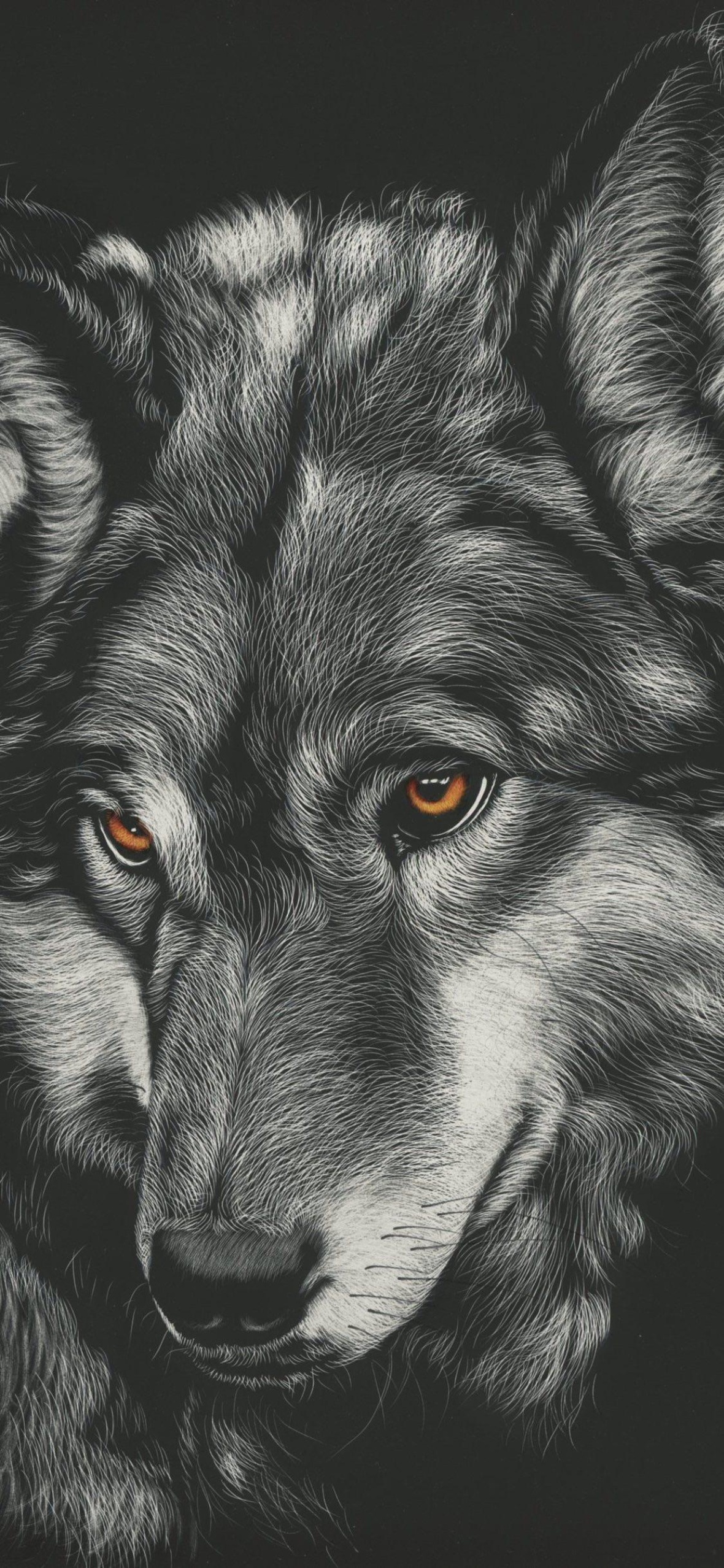 Wolf Wallpaper iPhone 11