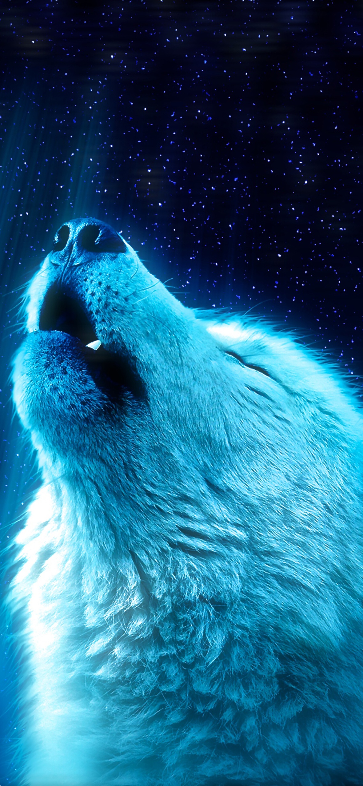 Wolf iPhone Wallpaper 4k