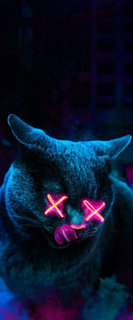 Neon Cat Wallpaper For iPhone