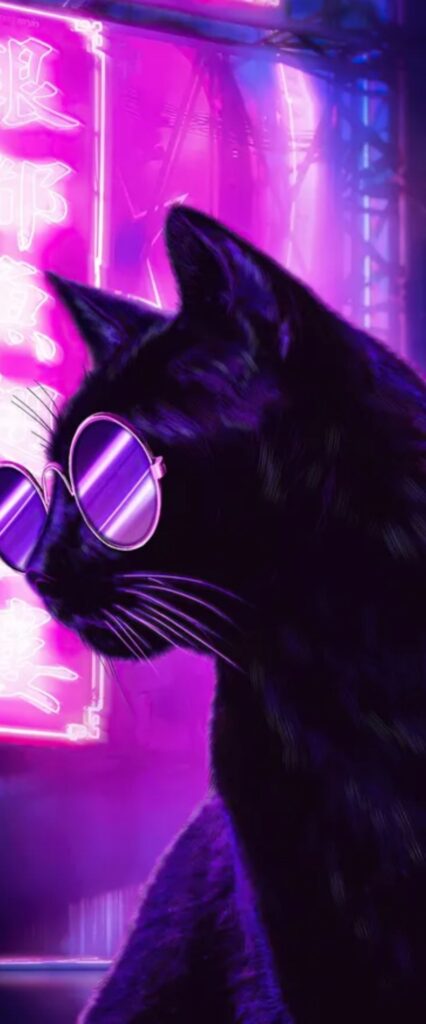 Neon Cat iPhone Wallpaper HD