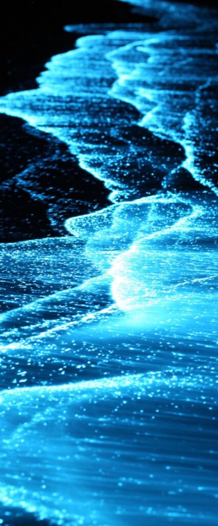 Bioluminescence Wallpaper For iPhone 12