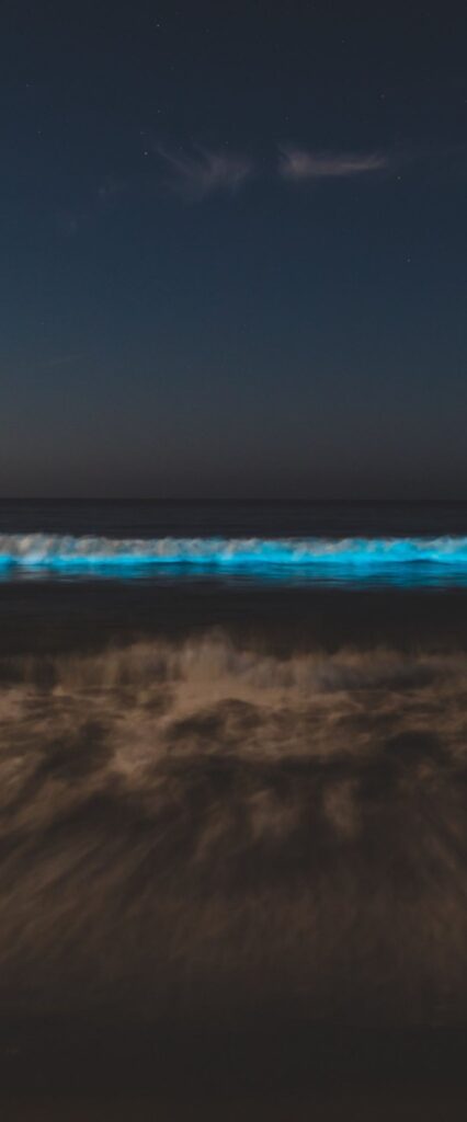 Bioluminescence Wallpaper For iPhone 14 Pro