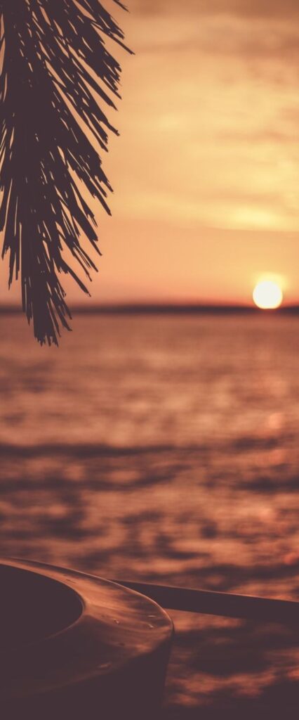 Cute Sunset iPhone Home Screen Wallpaper