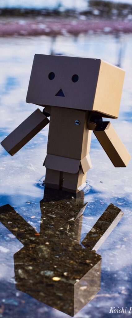 Danbo Wallpaper 4k For iPhone