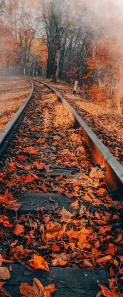 Railway Wallpaper For iPhone 14 Pro