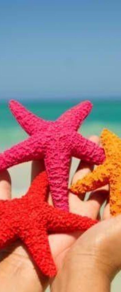 Star Fish Wallpaper For iPhone