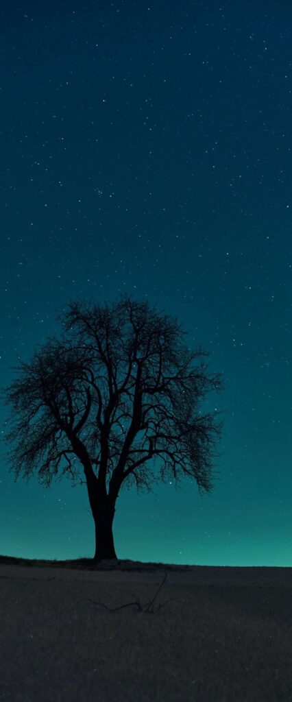 Starry Sky Wallpaper HD For iPhone