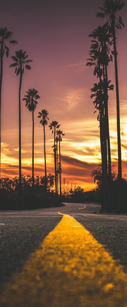 Street Wallpaper For iPhone 11