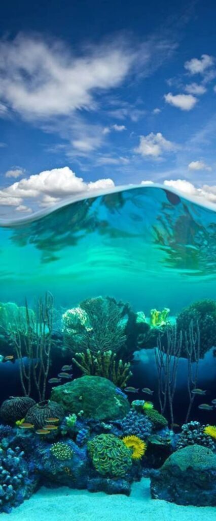 Underwater Wallpaper For iPhone 15