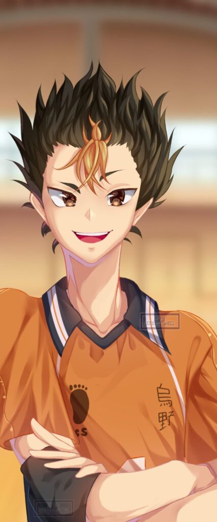 Yu Nishinoya Wallpaper For iPhone XR