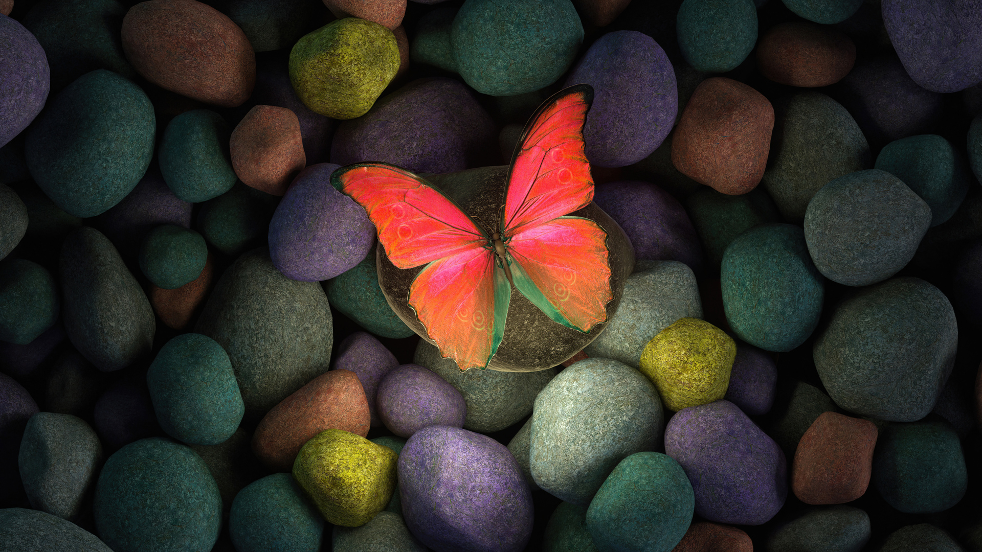 Butterfly Wallpaper For Desktop