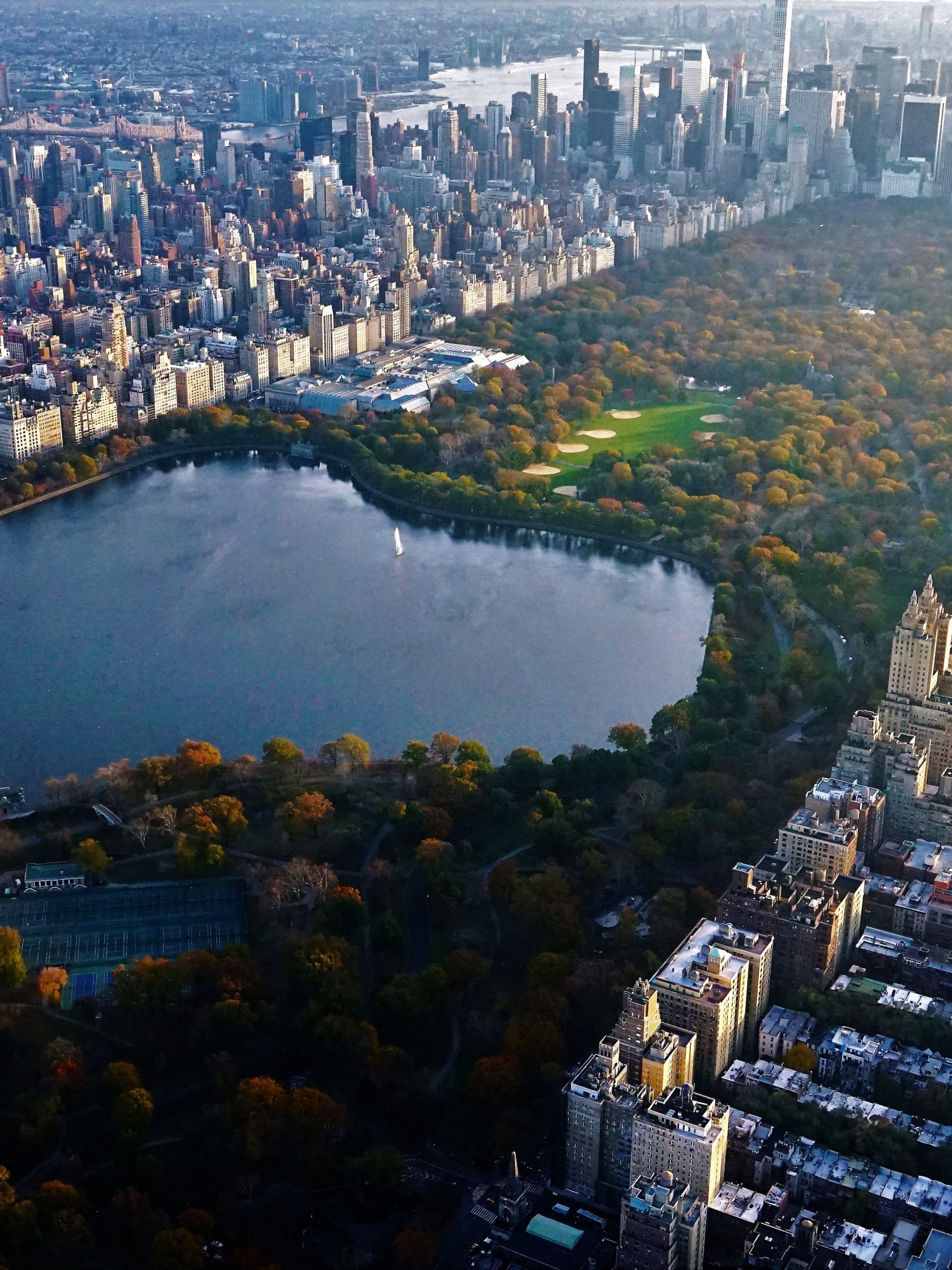 Central Park Background Picture
