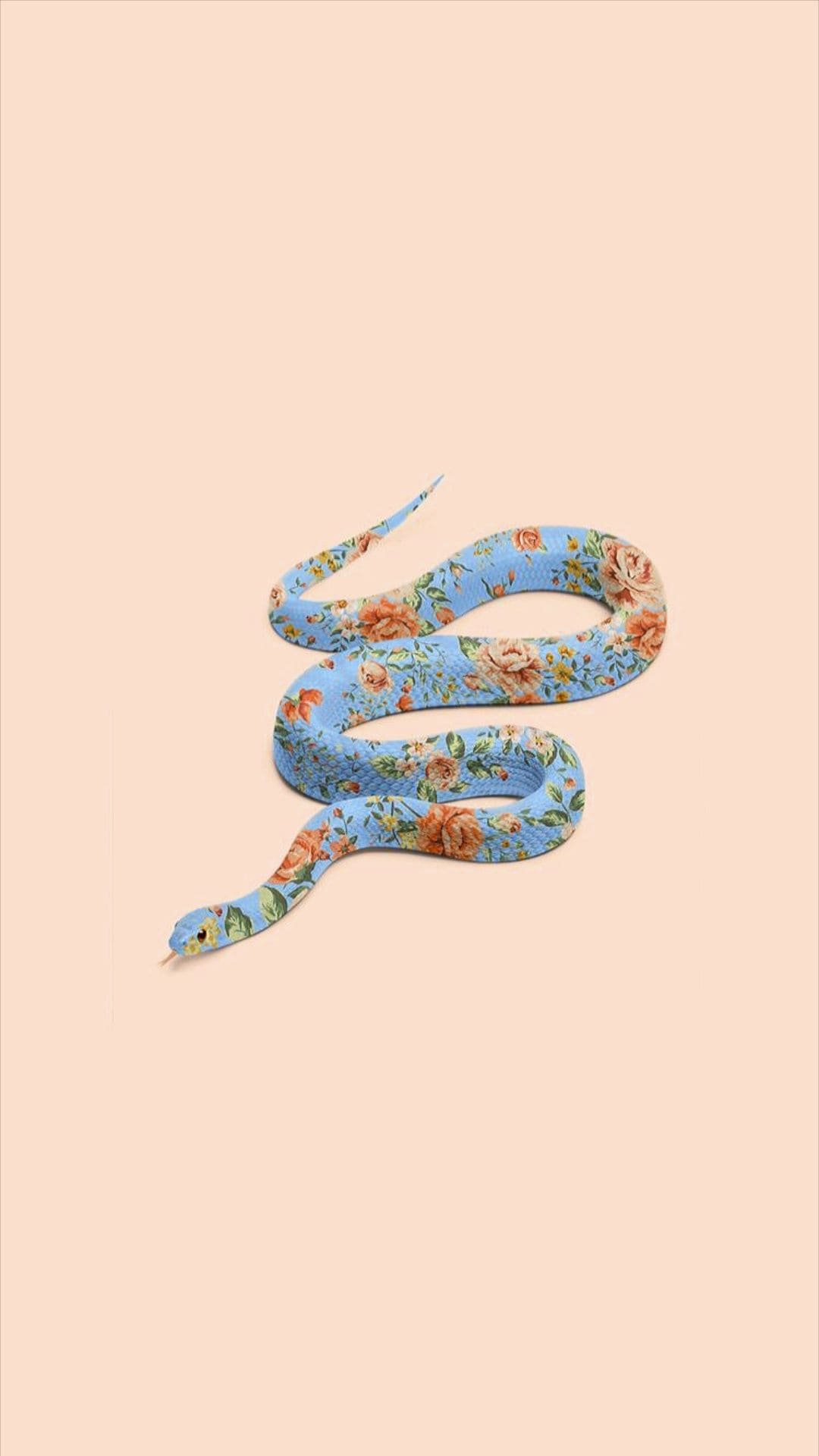 Snake Wallpapers - Top 35 Best Snake Backgrounds Download