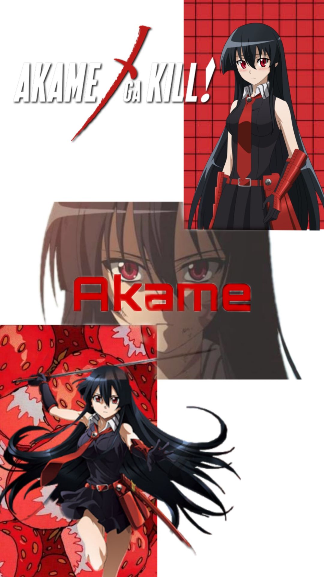 Akame Ga Kill Wallpaper HD