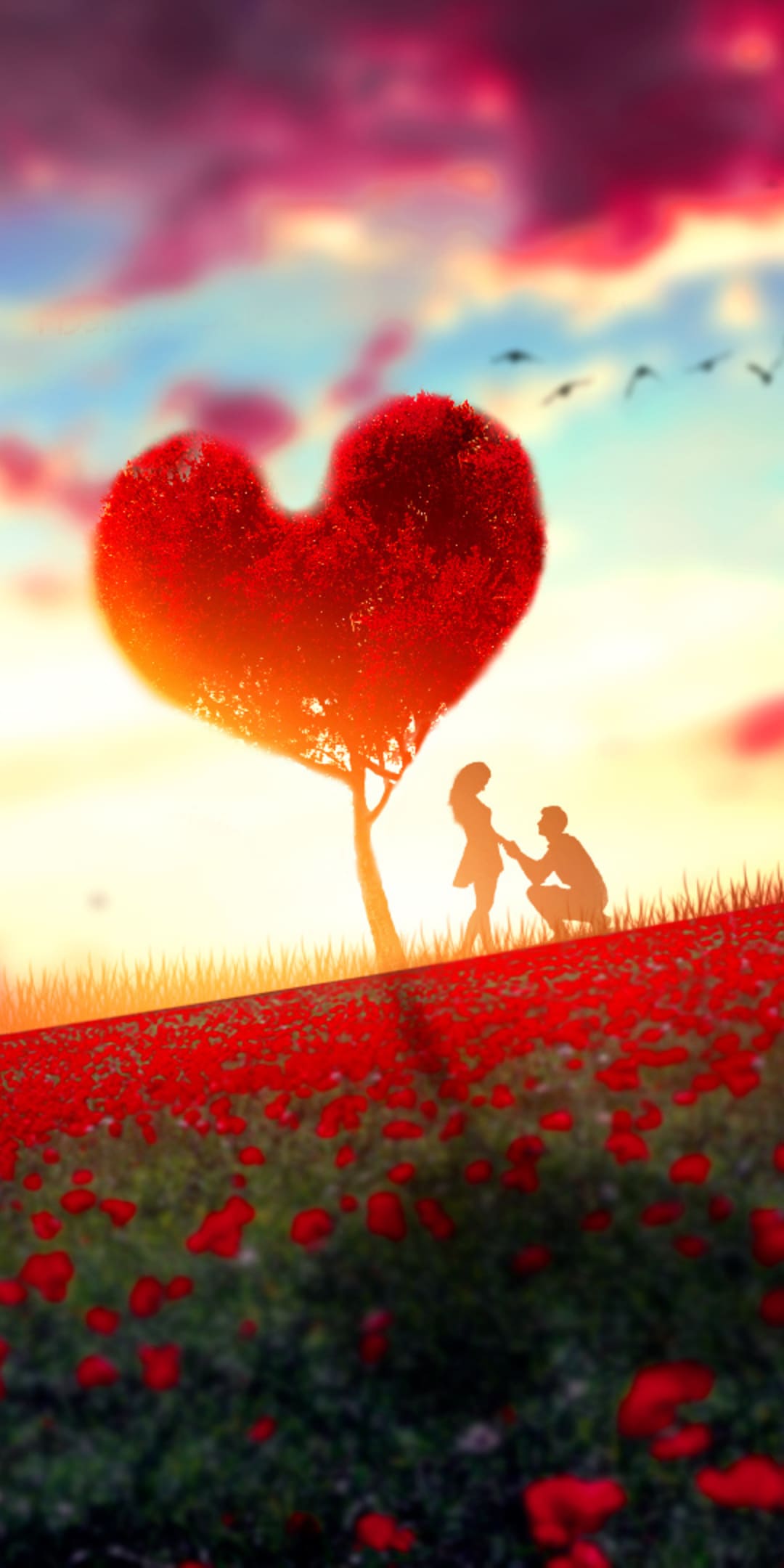 Love Wallpapers - Top 25 Best Love Backgrounds Download