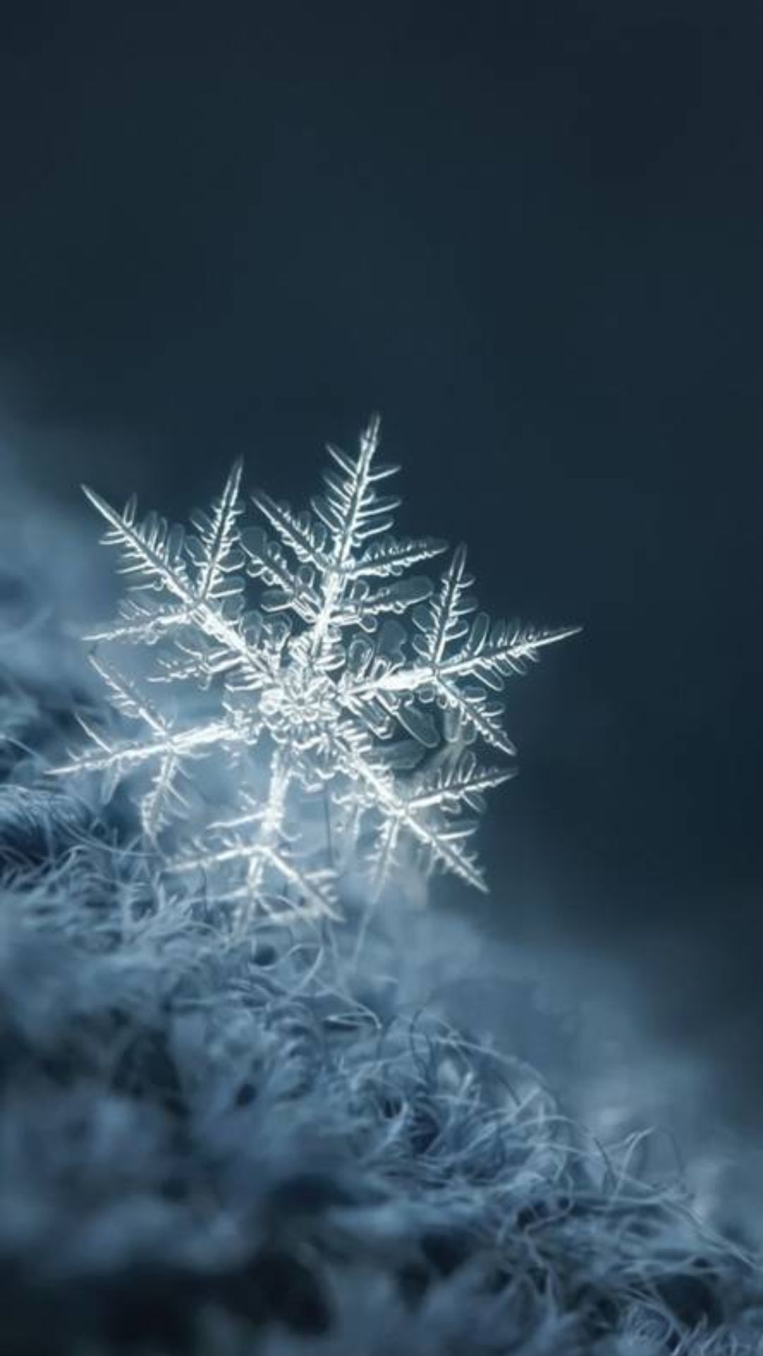 Snowflake Wallpapers - Top 25 Best Snowflake Backgrounds Download