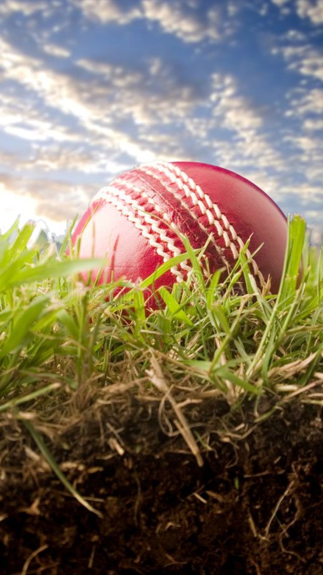 Cricket Wallpapers - Top 25 Best Cricket Backgrounds Download