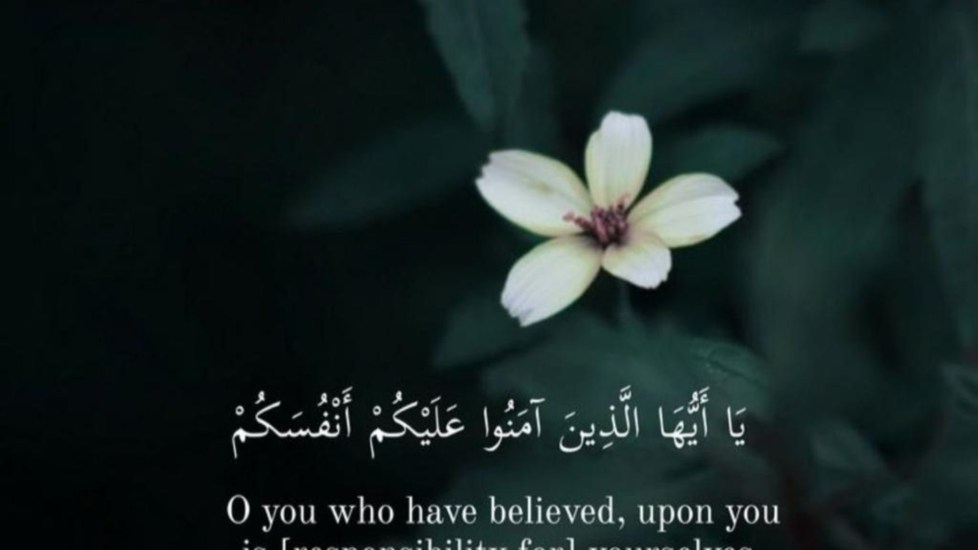 Islamic Quotes Wallpapers - Top 30 Best Islamic Quotes Backgrounds Download