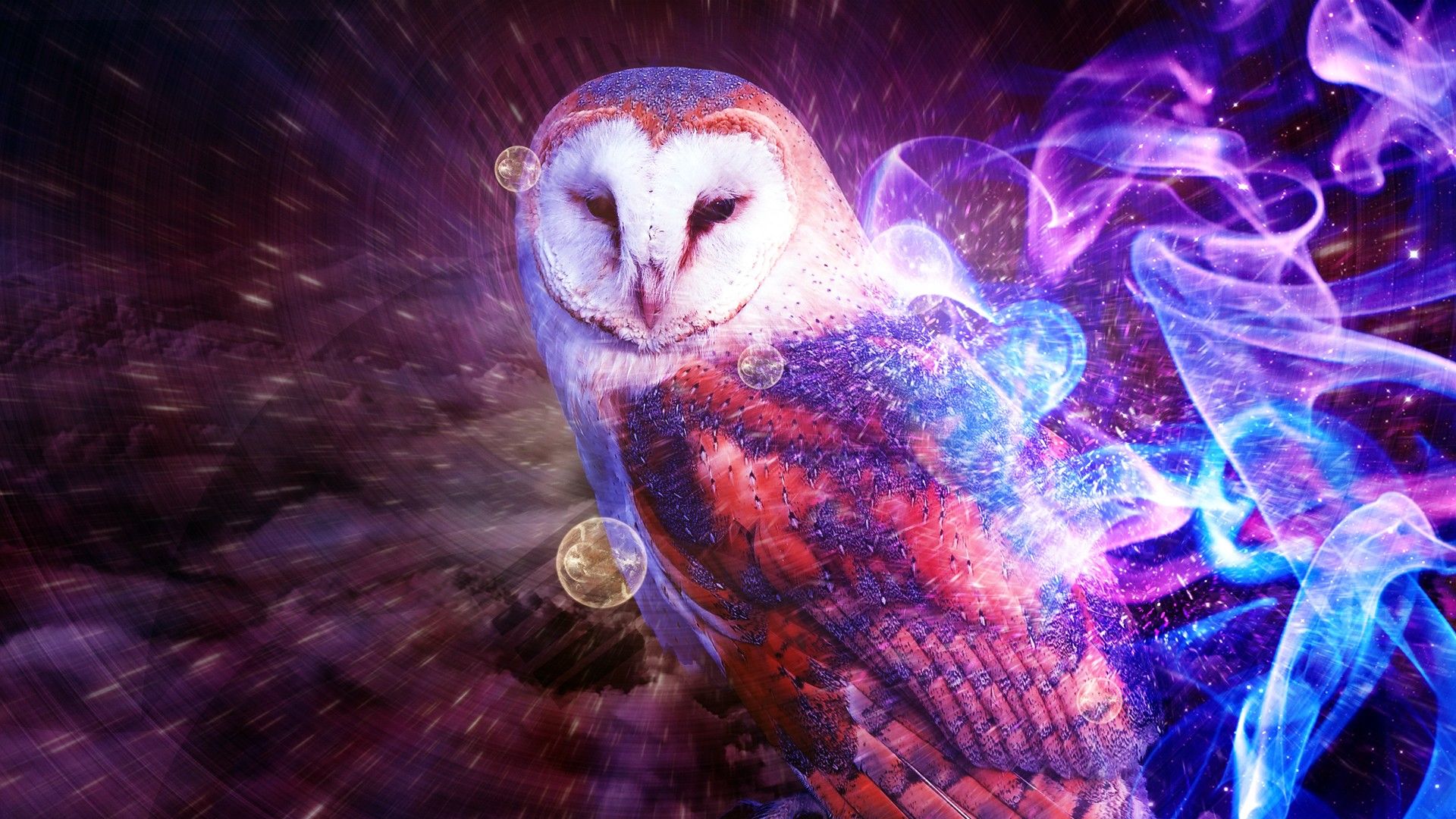Owl Desktop Wallpaper