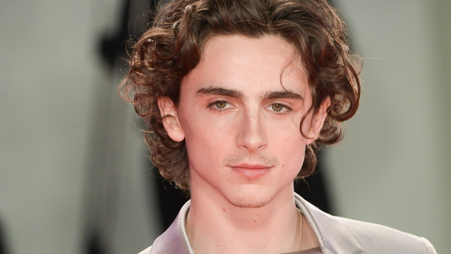 Timothee Chalamet Backgrounds PC