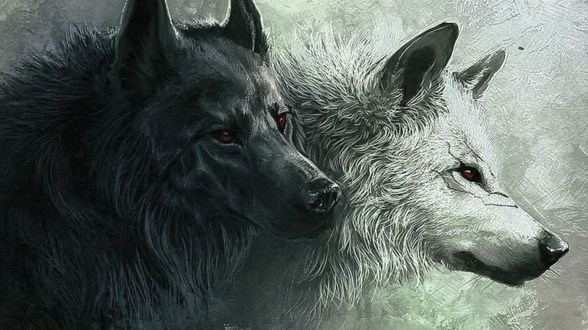 Black Wolf Background Images