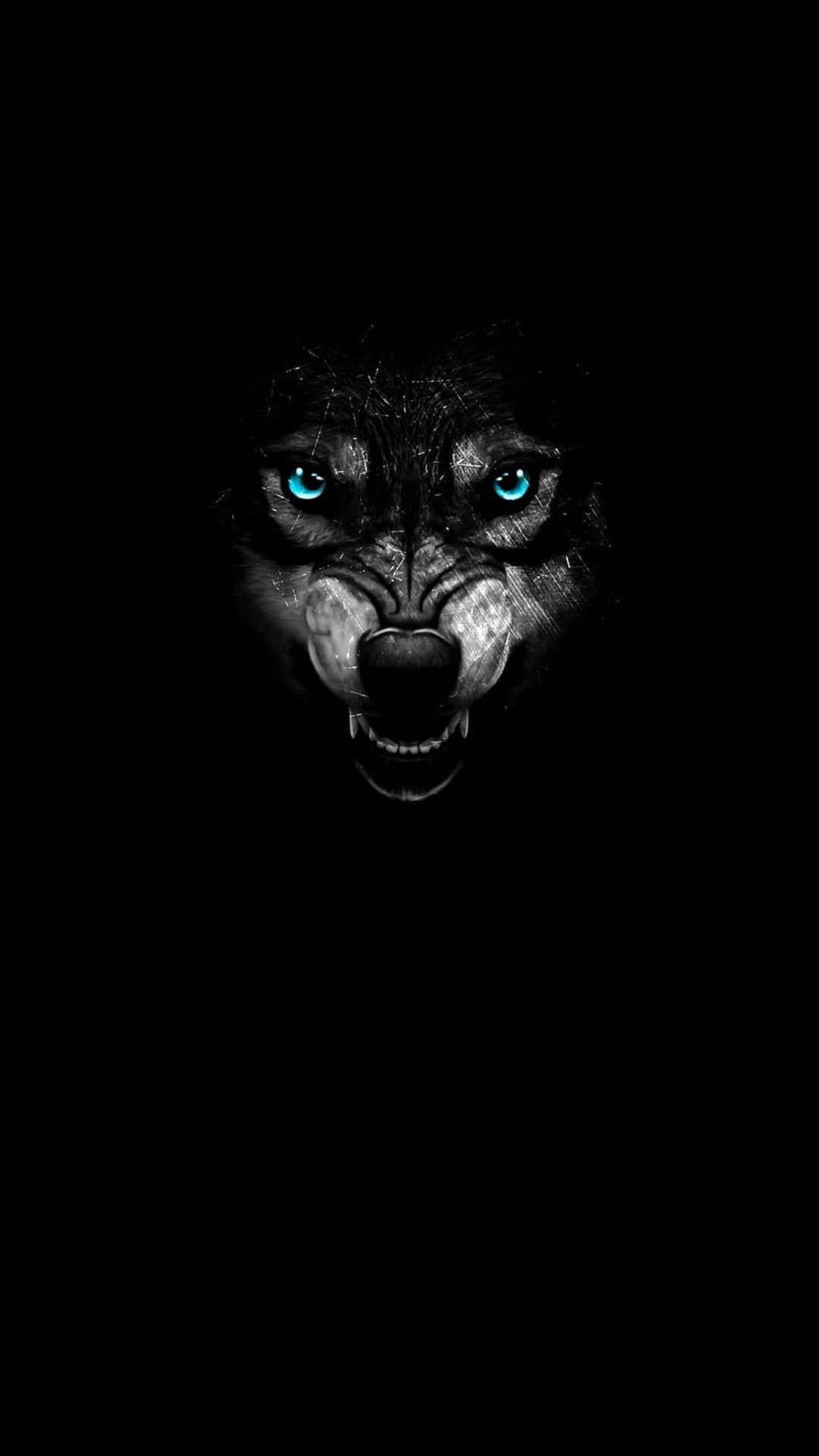 Black Wolf iPhone Wallpaper