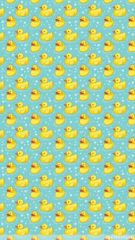 Duck Wallpaper