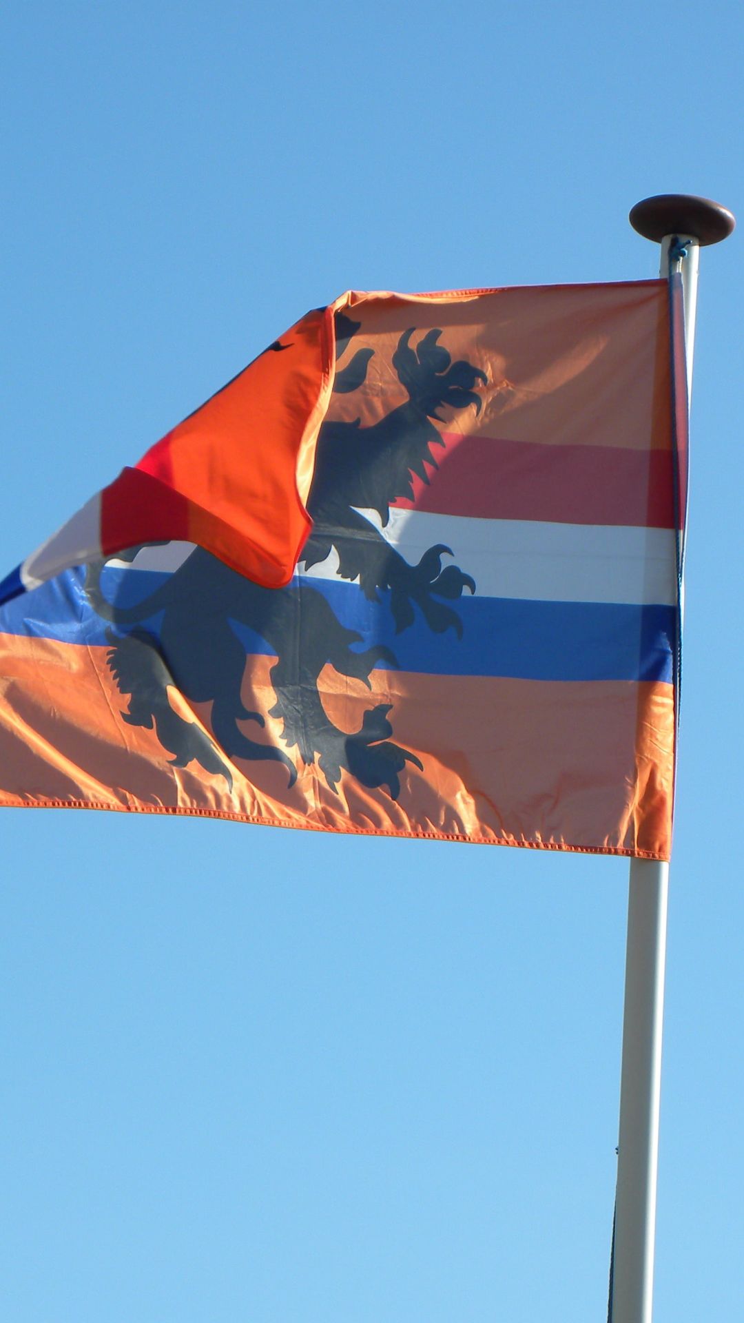 Netherlands Flag Background
