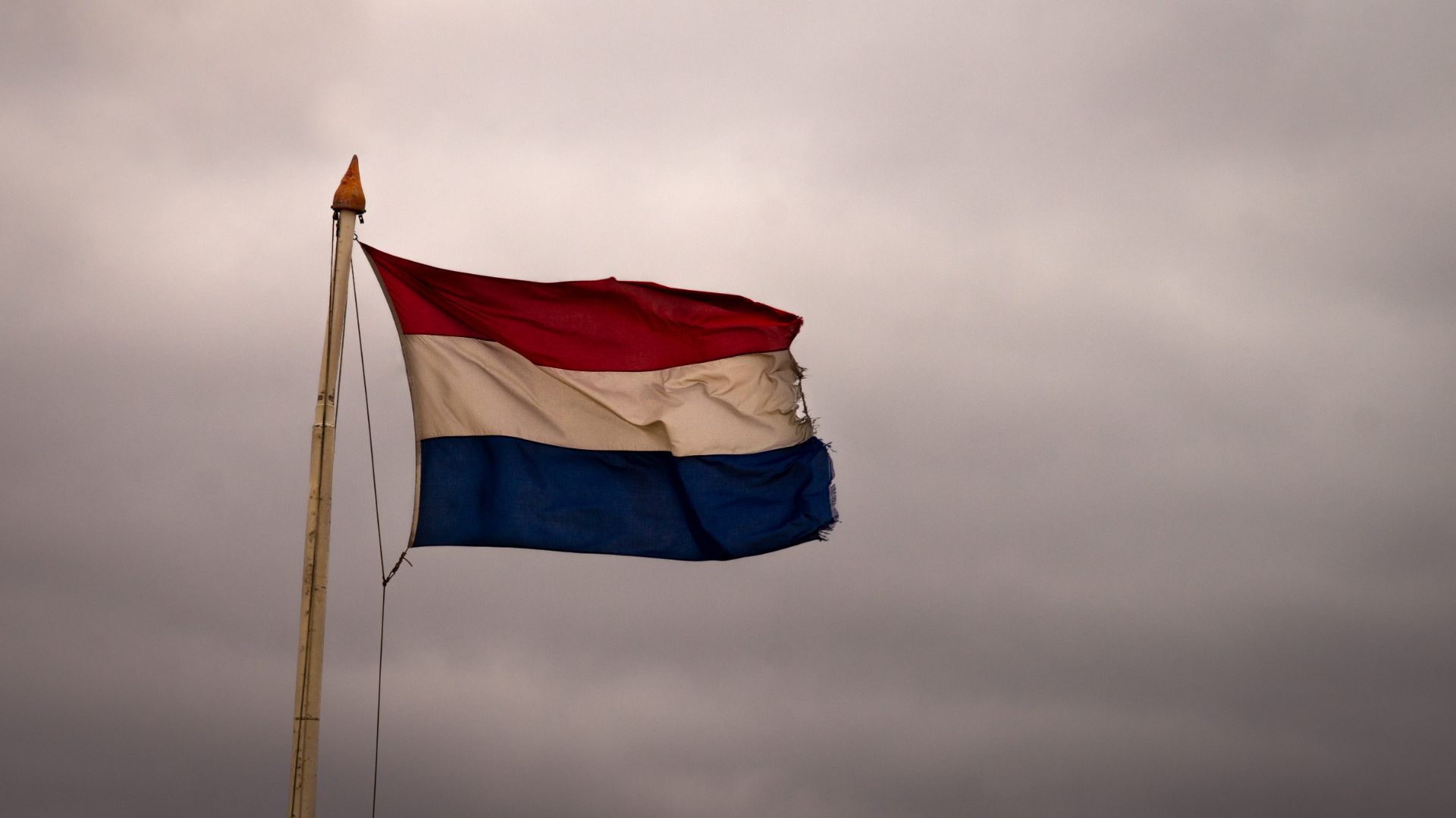 Netherlands Flag Wallpaper 4k